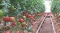 20140930_123631.jpg