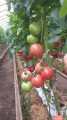 20140930_124852.jpg