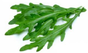 Rukola Wasabi - Opak.0,5kg/1kg nasion